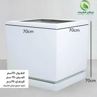 حوض ضخم لزراعة الأشجار