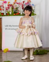 فستان دانتيل مطرز فخم للعيد شامل اكسسوار الشعر وال...