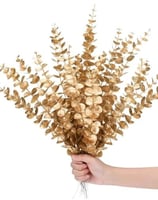 5 أغصان نباتات