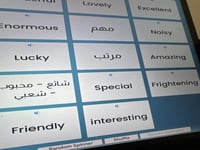 القاموس التفاعلي لدروس المفردات المراحل خامس /سادس