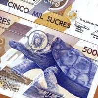 الاكوادور فئة 5000 سوكر أنسر