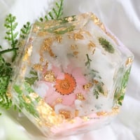 white moth box علبه