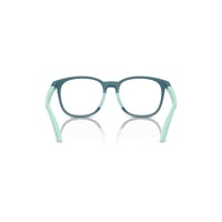 EMPORIO.ARMANI 3004 49 6123 FR