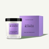 شمعة وايلد مينت