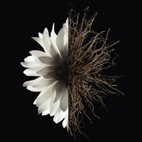 عطر جيفنشي لينتردي أو دو بارفيوم 80 مل