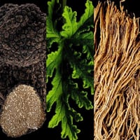 عطر كارولينا هيريرا باد بوي كوبالت أو دو بارفيوم 5...