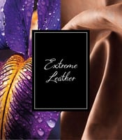 تستر مونت بلانك اكستريم ليذر او دو بارفان 125 مل