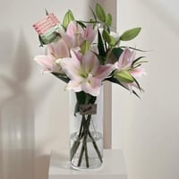 فازة جمال أبدي