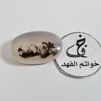 عقيق مصور منظر طبيعي نخل واشجار وبحر سبحان الله عق...