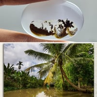 عقيق مصور منظر طبيعي نخل واشجار وبحر سبحان الله عق...