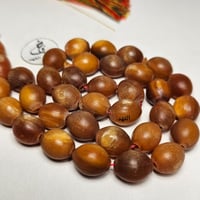 مسباح قرن زراف وحيد القرن خرتيت طبيعي سبحة نادرة و...