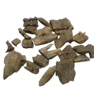 عود كنامي صيني دبل مع تربل