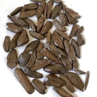 عود مروكي محسن بيور فاخر