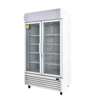 ثلاجة عرض بانكول 45 قدم بابين زجاج