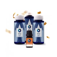 قروفي فورست Groovy Forest