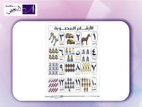 لوحة تعليم الأرقام المصورة