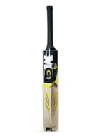 مضرب كريكيت صفصاف كشمير من ام جي