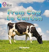 From Cow to Carton: