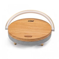 اي وان مكبر صوت وإنارة 4X1