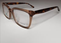 نظارة تيد بيكر Ted Baker 9251 230