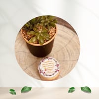 خلطه القهوه