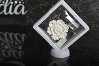 مجموعه (12) فواحة سيريمك مع المعطر روائح متعددة مع...