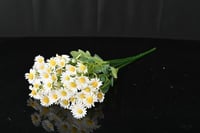 ورد دوار الشمس