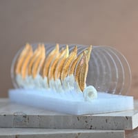 مجموعة (12) قاعده اكريلك شفاف بتزيين بدون الاستاند