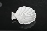 مجموعه(12) صحن سيرميك شكل صدفة بي علبة شفاف