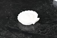 مجموعه(١٢) شموع صدفة شكل وردة سرميك بي علبة شفاف