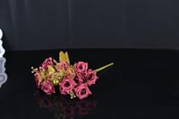 ببيروز عودي 10 اغصان