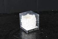 مجموعه(12) شموع سيرميك شكل وردة بي علبة شفاف