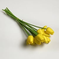 ورد توليب اصفر