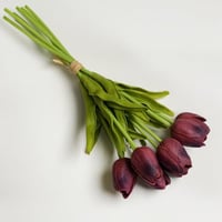 ورد توليب عنابي