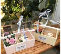 مجموعة (3) علبة شفافة مزودة بمقبض لليد - 2 اقسام