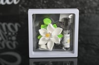 مجموعه (12) فواحة سيريمك مع المعطر روائح متعددة مع...