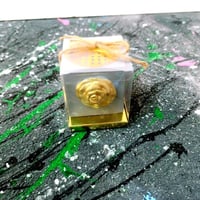 مجموعة (12) مبخرة بصمة شكل وردة في علبة شفاف