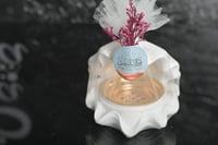 مجموعه(12)تنسيق مبخرة سيرميك شكل صدفة