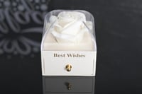 مجموعه (12) علب اكسسوارات اكريلك مع وردة وكيس