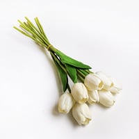 ورد توليب سكري