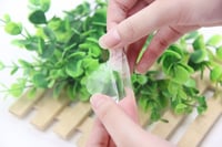 مجموعة ( 100) كيس للكوكيز والحلويات