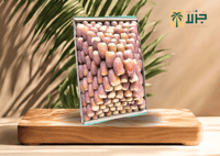 صقعي القصيم ملكي سوبر جامبو