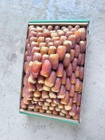 صقعي القصيم ملكي سوبر جامبو