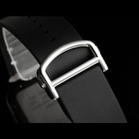 كارتير سانتوس ماستر