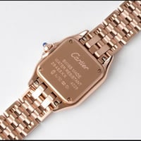 كارتير بانثر نسائية ماستر