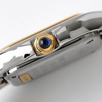 كارتير بانثر نسائية ماستر