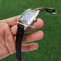 كارتير سانتوس دومو