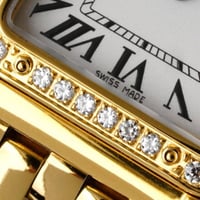 كارتير بانثر نسائية ماستر