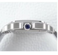 كارتير سانتوس ماستر سويسري