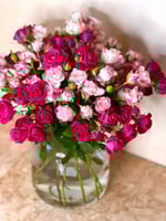 ورد بيبي جوري